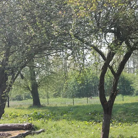 Les Yourtes Bourcominoises Luxury tent